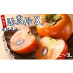 果物類 柿 訳あり 令和8年産 陽豊柿 3kg