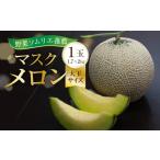 ふるさと納税 メロン メロン青肉 愛知県 田原市 先行予約 8月発送 数量限定 野菜ソムリエ推薦渥美半島伊良湖潮風育ちマスクメロン1玉大玉サイズ(1.7〜2キロ)カ…
