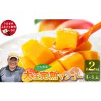 fu.... налог манго Okinawa префектура ... город Miyagi сельское хозяйство .. .. манго примерно 2kg(4~5 шар ) предшествующий предварительный заказ 2027 год отправка 