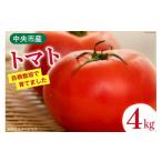 fu.... налог овощи вид помидор Yamanashi префектура центр город помидор центр город производство помидор 4kg 18~24 шт ....... Yamanashi префектура центр город 21470758 овощи ........ Rico булавка 2...