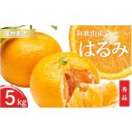 果物類 みかん 秀品 はるみ 和歌山 有田 S~2Lサイズ