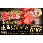 牛肉 焼肉 バーベキュー A4ランク以上 長崎和牛 出島ばらいろ 焼肉セット