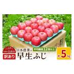 ふるさと納税 りんご 青森県 弘前市 25年10月〜発送 りんご 平均糖度12度以上 早生ふじ 約5kg 訳あり 先行受付 青森 果物 フルーツ 林檎 リンゴ くだもの 不…