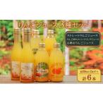 洋酒 リキュール類 りんごジュース3種セット