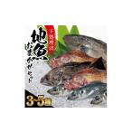 旬の鮮魚等 地魚おまかせセット 下処理済 計1kg以上
