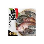 旬の鮮魚等 地魚おまかせセット 計2kg以上