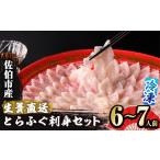 生簀直送 とらふぐ 刺身 セット 6-7人前