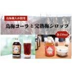 炭酸飲料 烏梅コーラと完熟梅シロップのセット