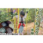 体験チケット 久万高原ふるさと旅行村 ツリートレッキング…