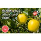 訳あり 甚八りんご シナノゴールド5kg