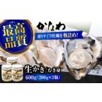 牡蠣 生牡蠣 かなわの生牡蠣 プレミアム瓶入り