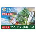 セット 詰合せ 04-07 6ヶ月定期便 産野菜ボックス詰め合わ…