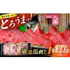 馬肉 熊本 馬刺し なか園 赤身馬刺し 約300g