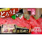 馬肉 熊本 馬刺し なか園 赤身馬刺し 約400g
