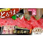 馬肉 熊本 馬刺し なか園 赤身馬刺し 約500g