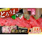 馬肉 12回定期便 熊本 馬刺し なか園 赤身馬刺し 約300g