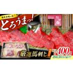 馬肉 3回定期便 熊本 馬刺し なか園 赤身馬刺し 約400g