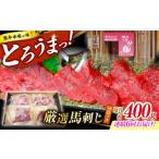 馬肉 6回定期便 熊本 馬刺し なか園 赤身馬刺し 約400g