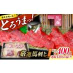 馬肉 12回定期便 熊本 馬刺し なか園 赤身馬刺し 約400g