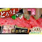 馬肉 3回定期便 熊本 馬刺し なか園 赤身馬刺し 約500g