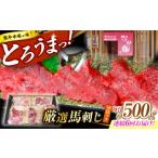 馬肉 6回定期便 熊本 馬刺し なか園 赤身馬刺し 約500g