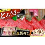 馬肉 12回定期便 熊本 馬刺し なか園 赤身馬刺し 約500g