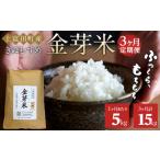 令和7年産 金芽米 きぬむすめ 5kg