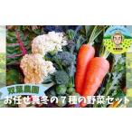 fu.... налог комплект *... Kanagawa префектура .. город . лист сельское хозяйство .. ~ Itioshi ~ подлинный зимний 7 вид. овощи комплект (. овощи .. длина этот день прямая поставка доставка набор свежий кастрюля зима ....