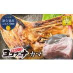 マグロ 本マグロ <まぐろカマ>豊後まぐろ
