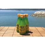 果汁飲料 青いレモンの島 レモン果汁 150ml×3本