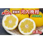 ふるさと納税 果物類 �