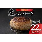 ふるさと納税 肉 ハンバーグ 佐賀県 上峰町 《数量限定》総量2.6kg 佐賀牛ハンバーグ120g×22個 ふっくらジューシー 120g×22個 10,000円 一部配送不可地域有…