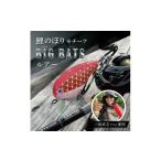 ルアー ビックバッツ 釣り 釣り具 バス釣り