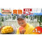 ショッピングふるさと納税 マンゴー ふるさと納税 マンゴー 鹿児島県 知名町  2026年先行予約 えみちゃん農園の完熟マンゴー約1キロ（訳あり）　C008-007-01