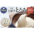 人参 大根 他根菜 大和芋使用 冷凍大和芋とろろセット 40パ…