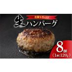 ふるさと納税 肉 ハンバーグ 佐賀県 上峰町 佐賀牛ハンバーグ120g×8個 ふっくらジューシー 120g×8個 6,000円 一部配送不可地域有り