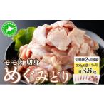 定期便 2ヵ月 連続 2回 めぐみどり モモ 切身 300g
