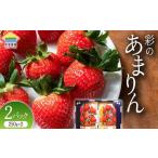 ふるさと納税 いちご 埼玉県 本庄市 先行予約 1月発送 埼玉県本庄市産 いちご 彩のあまりん 250g×2パック 2026年1月上旬から順次発送 苺 いちご イチゴ スト…