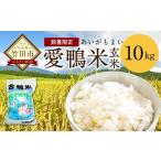 ふるさと納税 玄米 大分県 竹田市 〈令和7年産〉愛鴨米 玄米 10kg 2025年10月上旬〜2026年10月上旬発送予定