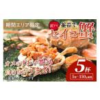 ふるさと納税 カニ 京都府 京丹後市 期間エリア限定 訳あり 厳選 絶品 釜茹で セイコ蟹5杯 YK00429