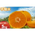 ふるさと納税 果物類 みかん 愛媛県 松山市 不知火 しらぬい 約5kg 訳あり 2月下旬から順次発送 でこぽん と同品種 愛媛産 愛媛県産 国産 愛媛みかん 愛媛蜜柑…