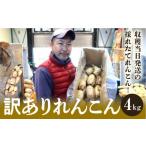 人参 大根 他根菜 れんこん 訳あり 4kg