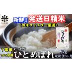 ふるさと納税 米 ひと