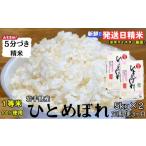 ふるさと納税 米 ひと