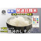 ふるさと納税 米 ひと