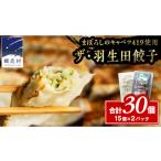 ふるさと納税 餃子 群馬県 嬬恋村 まぼろしのキャベツ419使用 ザ・羽生田餃子 15個 × 2パック 合計30個 ぎょうざ 豚肉 ギョウザ 小分け キャベツ 419 特産品 …