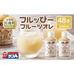 サンA フルッぴーフルーツオレ PET 240ml×48本