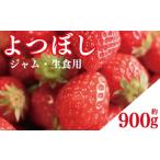 ふるさと納税 いちご 徳島県 阿波市 先行予約 訳あり いちご よつぼし 900g ジャム用 加工用 果物 フルーツ 苺 ストロベリー ケーキ アイス シャーベット ジェ…