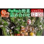 セット 詰合せ 定期便全12回 旬の採れたて