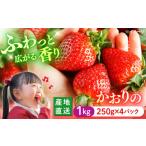 ふるさと納税 いちご 長崎県 西海市 いちご 1月より順次発送 かおりの 計1kg （約250g×4パック） 武藤農園 CFV001 長崎県 西海市 イチゴ 贈答 ギフト 大粒 果…